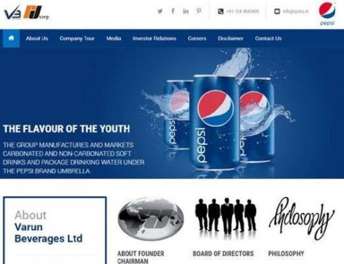 Varun Beverages Company analysis