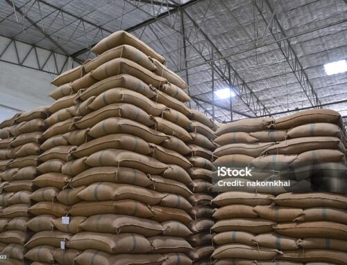 The Enduring Grain: Rice as a Global Commodity