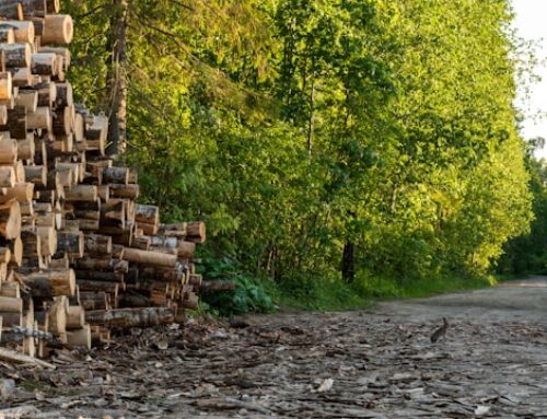 The Enduring Strength: Unpacking Lumber as a Global Commodity