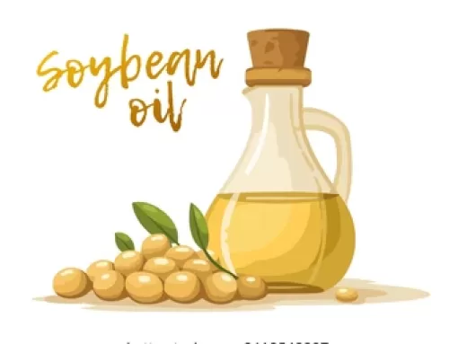 The Liquid Gold of Agriculture: A Deep Dive into the Global Empire of Soybean Oil