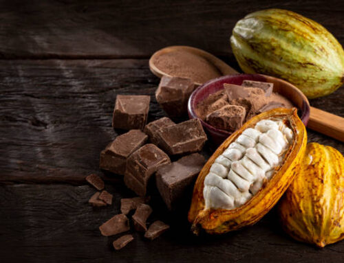 The Brown Gold Crisis: Decoding Cocoa as a Global Commodity in 2026